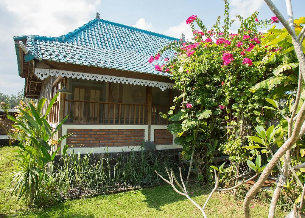 By Dorry Bed And Breakfast Ubud  Ubud (Bali)